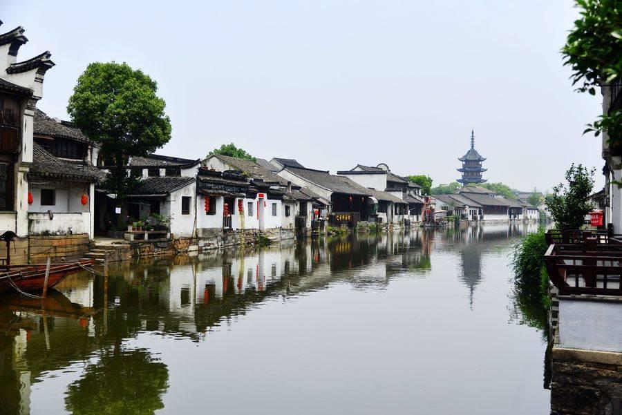 动物帮帮忙保卫家园